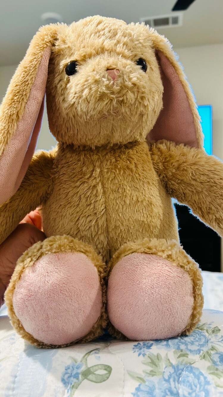 Build-A-Bear Workshop Tan Brown Bunny Rabbit Plush Stuffed Animal
